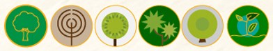 Six circular WeTree achievement badges illustrating a tree, a radar, a sapling, a palm, an olive branch and a leaf in a jar