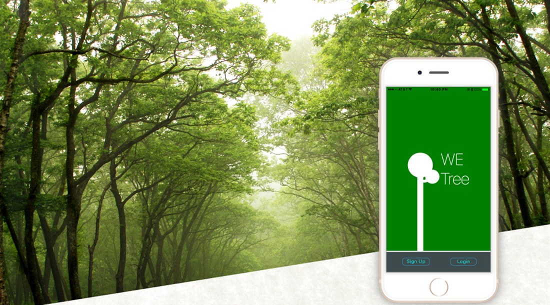 A misty green forest path with a white iPhone in the foreground showing the WeTree splash screen: a white tree mark on solid green with Sign Up and Login buttons